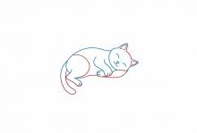 Котик спит
